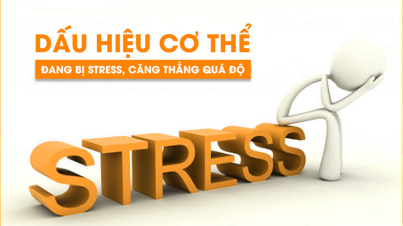 Top 6 dấu hiệu cơ thể bị stress, căng thẳng quá độ | Cách khắc phục hiệu quả